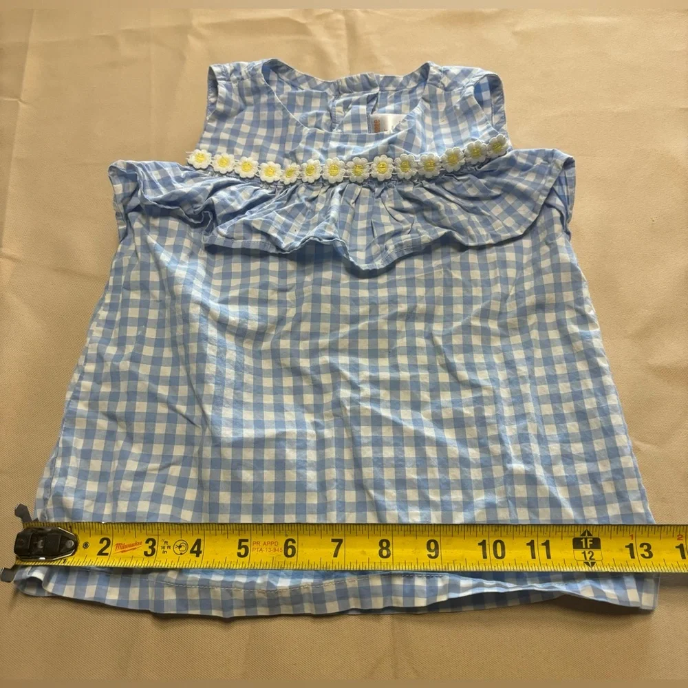 Gymboree Blue and‎ White Gingham Blouse with Ruffle and Daisies